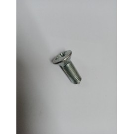 Door hinge screw